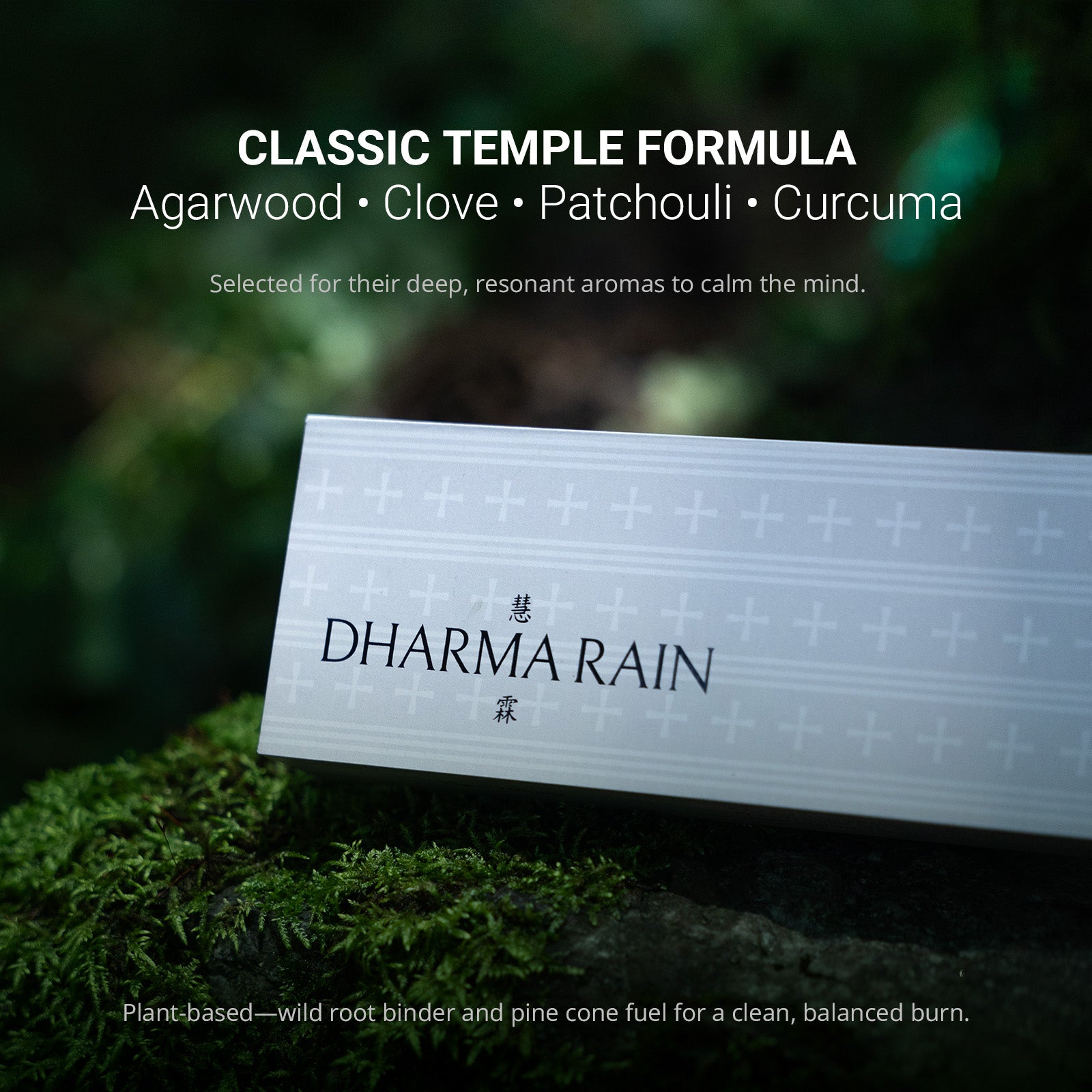 Dharma Rain