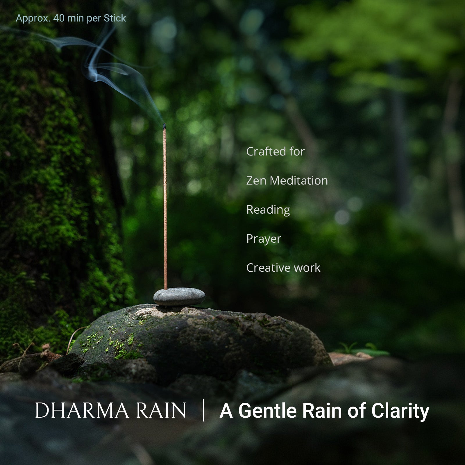 Dharma Rain